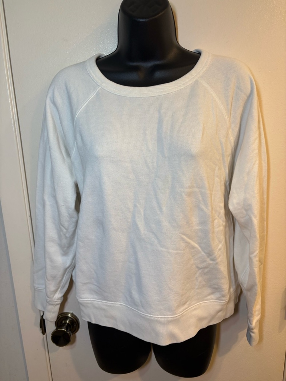 Everlane Women's White Cropped Crewneck Sweater Size M Pullover 100% Cotton